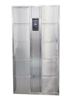 Access-Controlled Cleanroom Locker