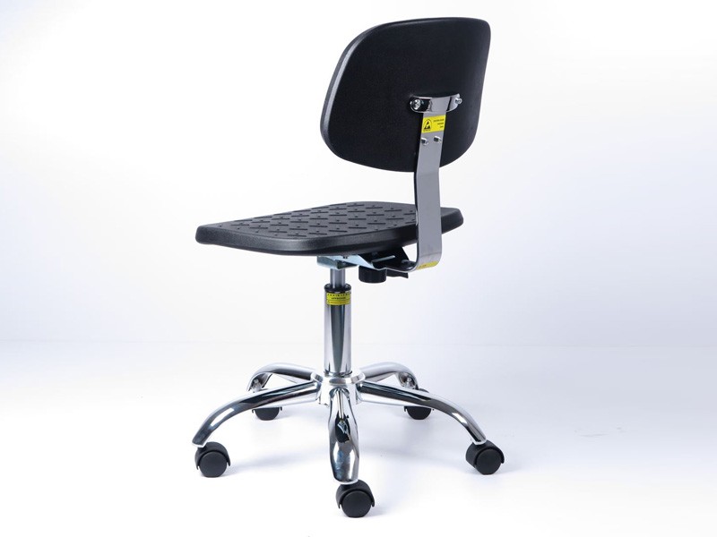 Backrest support and rear view