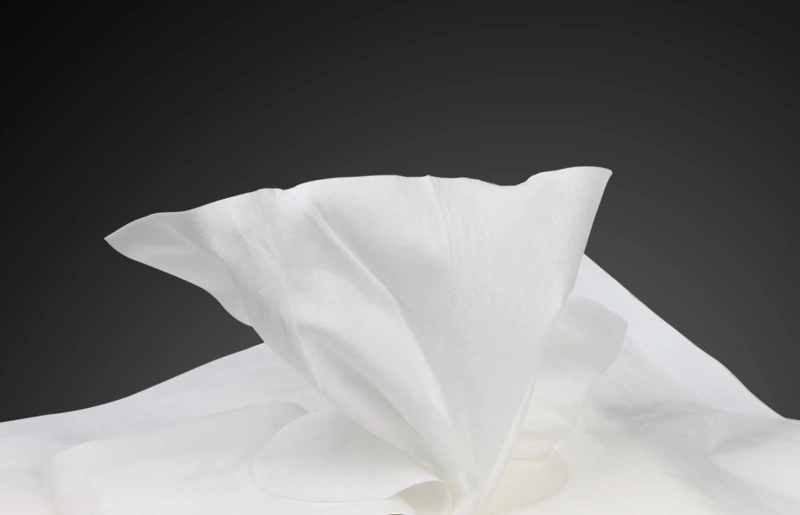 1006S Pre-Saturated Polyester Wipes — product view 3
