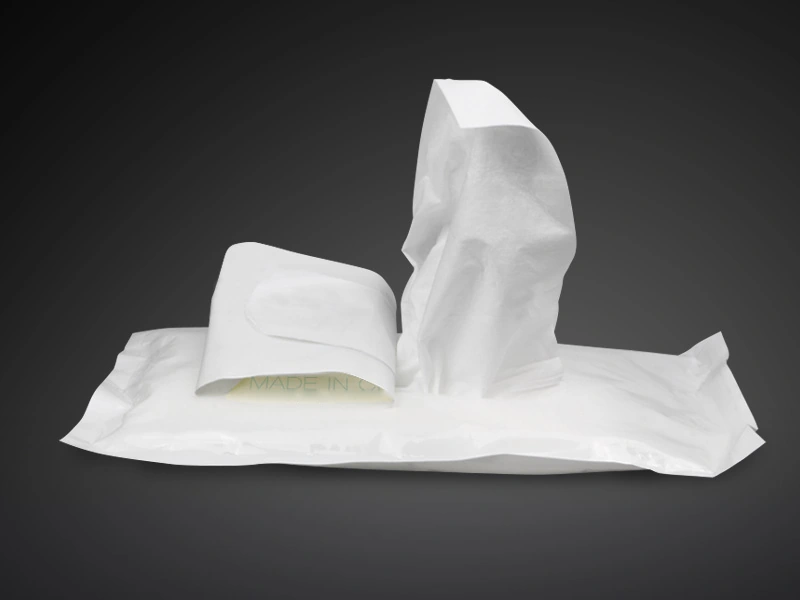 1006S Pre-Saturated Polyester Wipes — cover photograph